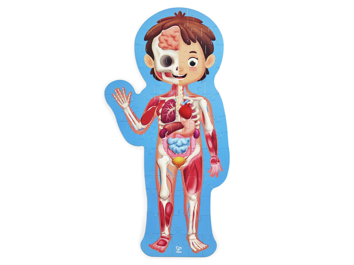 PUZZLE DE CUERPO HUMANO