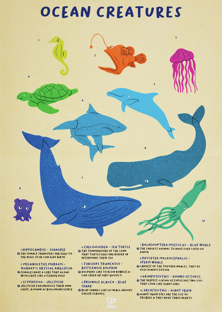 PUZZLE DE SUELO BRILLANTE BALLENA 200PCS