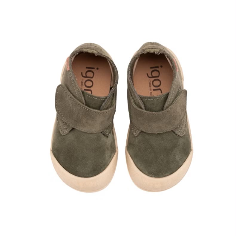 TUI BORREGO MUSGO